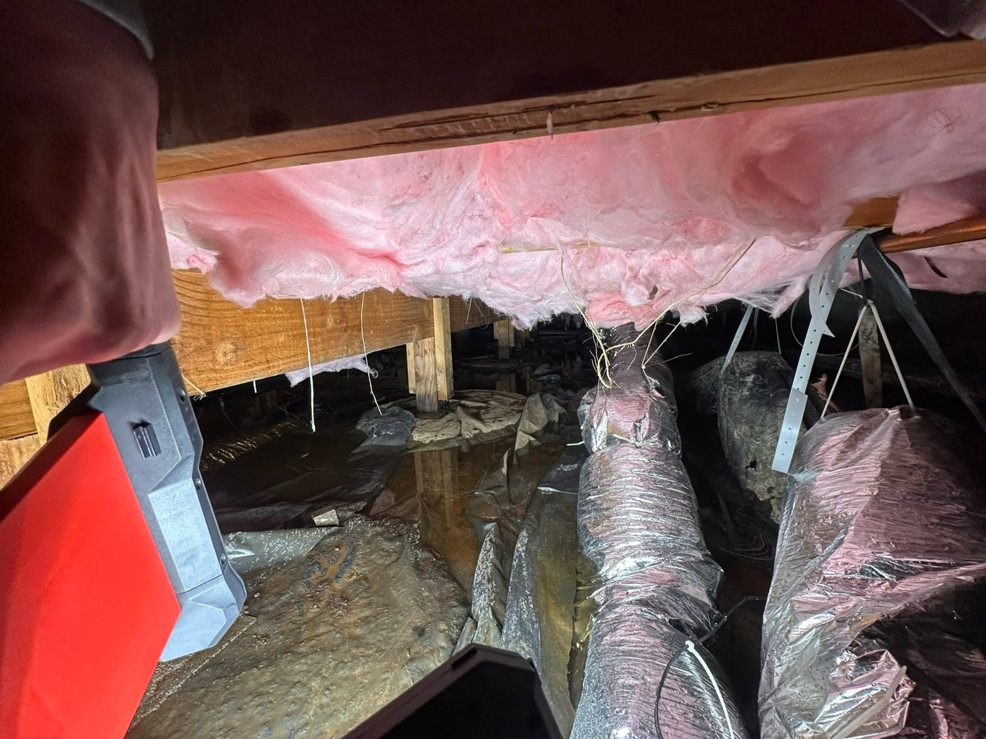 Crawlspace with standing water on the vapor barrier and sagging pink insulation