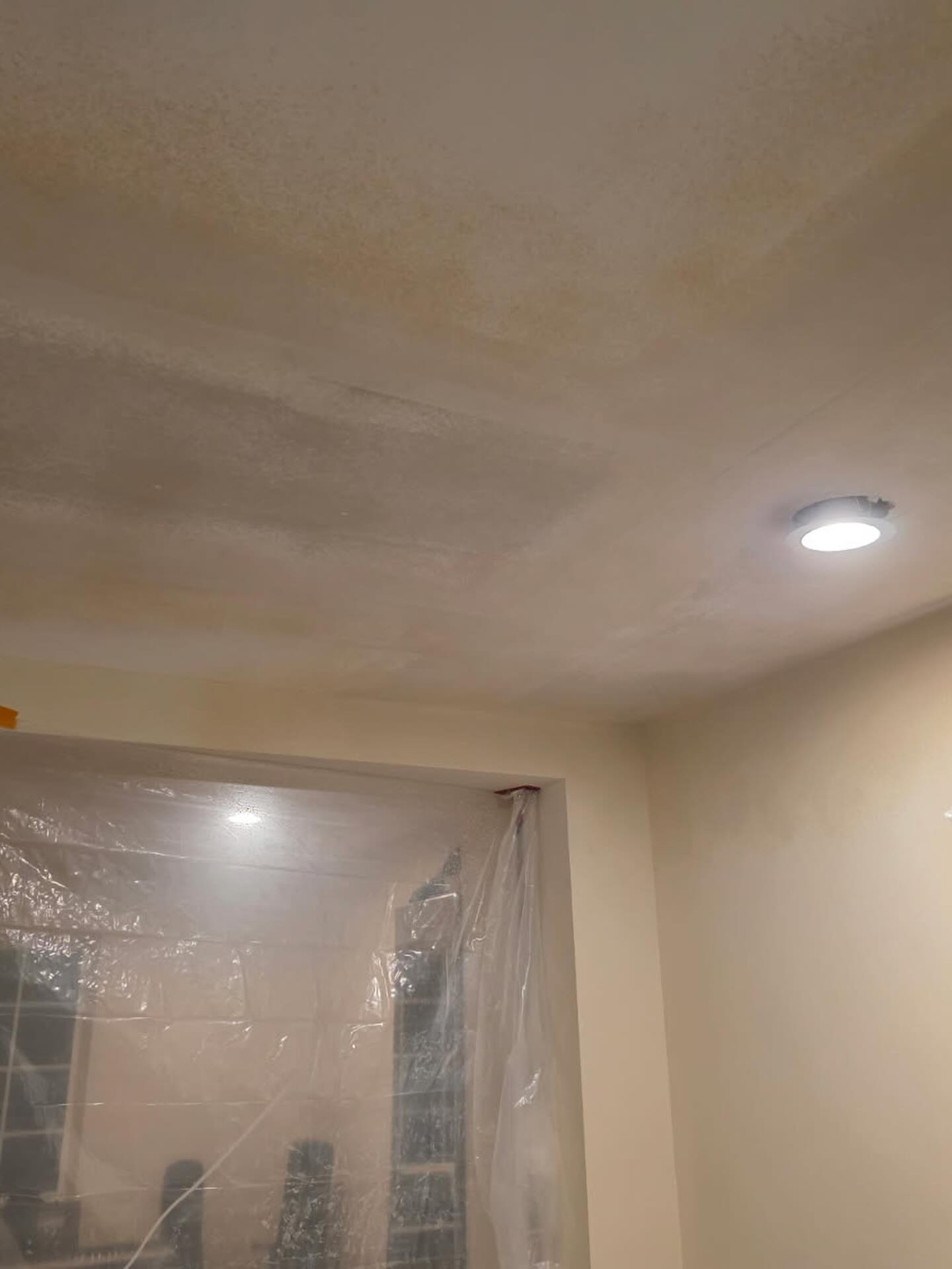 Brown water stain spreading across a ceiling beside a recessed light