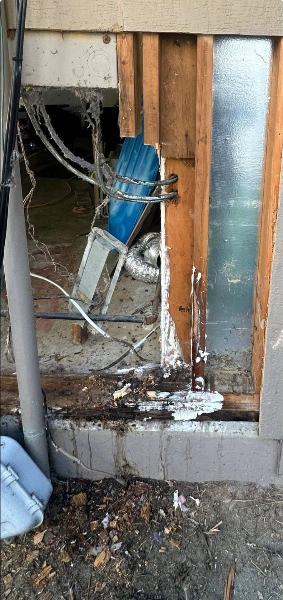 Rotted sill plate and framing exposed at the base of an opened exterior wall