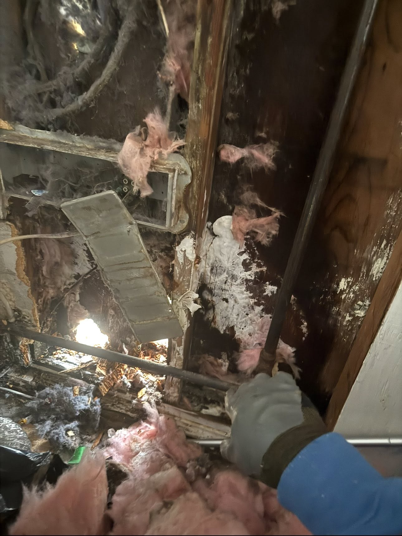 Wall cavity opened to expose water-damaged framing and insulation
